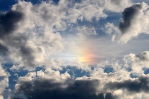 世界举重公开赛赛后志愿者交流手册发布，世界举重比赛现场视频
